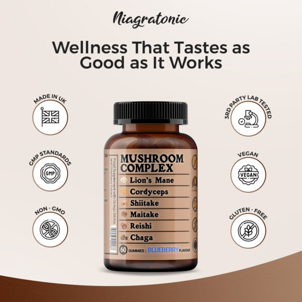 Mushroom Complex 60 Gummies, Lion’s Mane, Cordyceps, Shiitake, Maitake, Reishi, Chaga with Ginkgo Biloba and Elderburry Extract, Sugar Free
