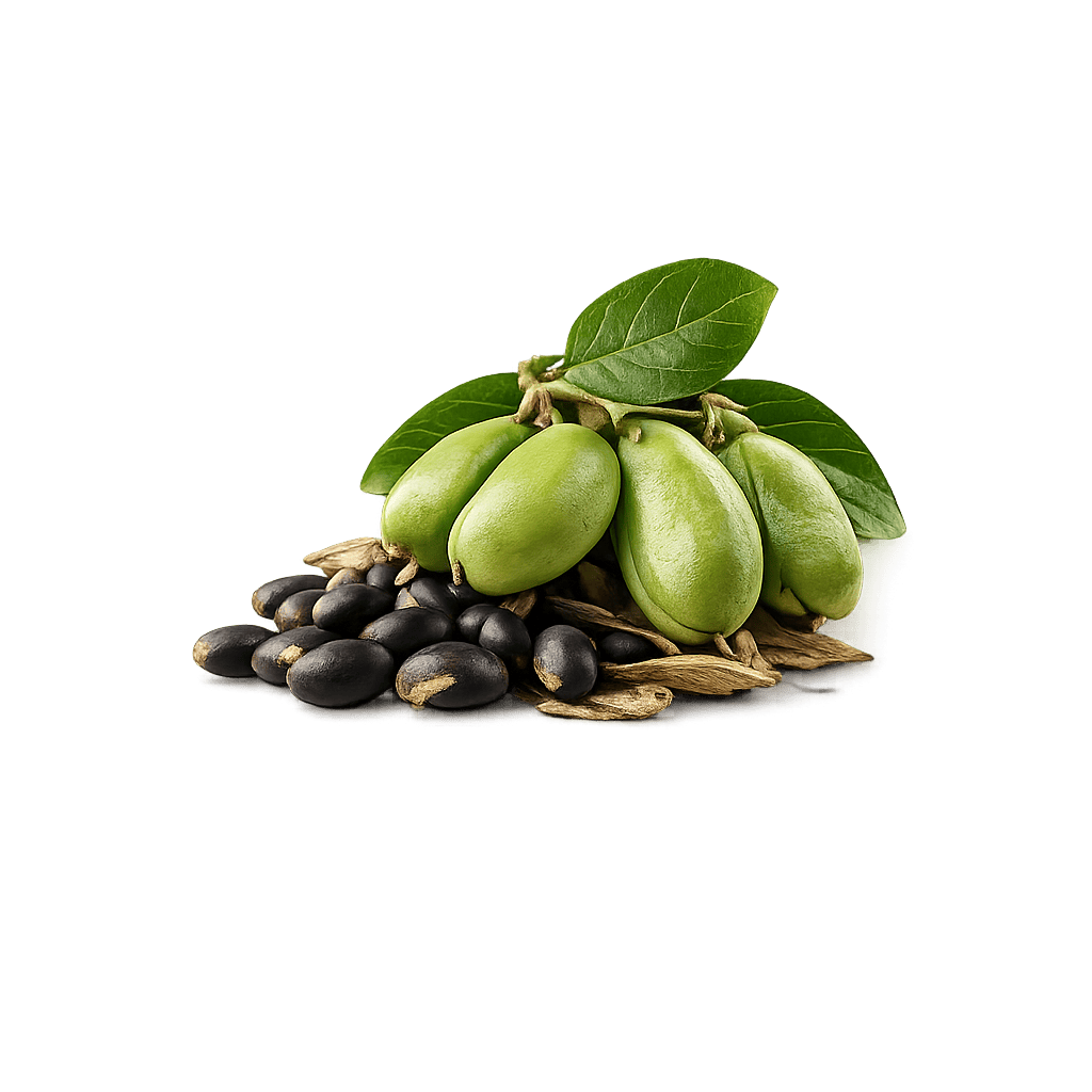 5-HTP
