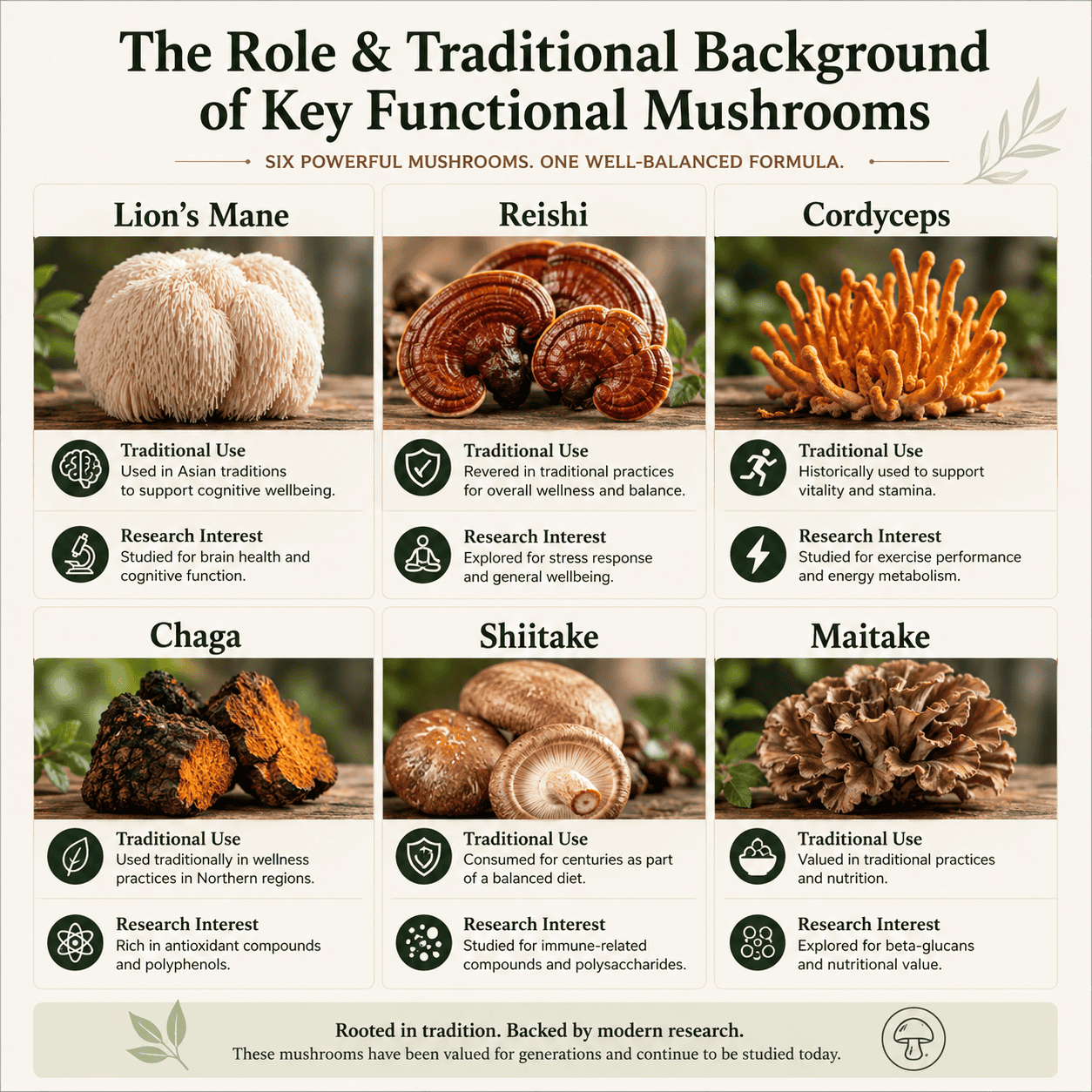 Comparison chart showing lion's mane, reishi, cordyceps, chaga, shiitake and maitake